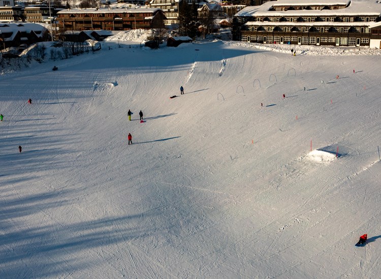 Bergojordet drone