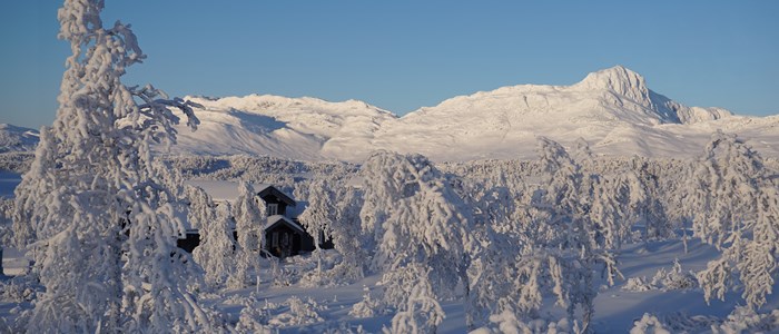 Fjellandsby1
