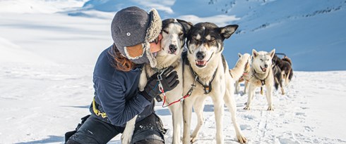 Beito Husky Dogsledding Expedition 5