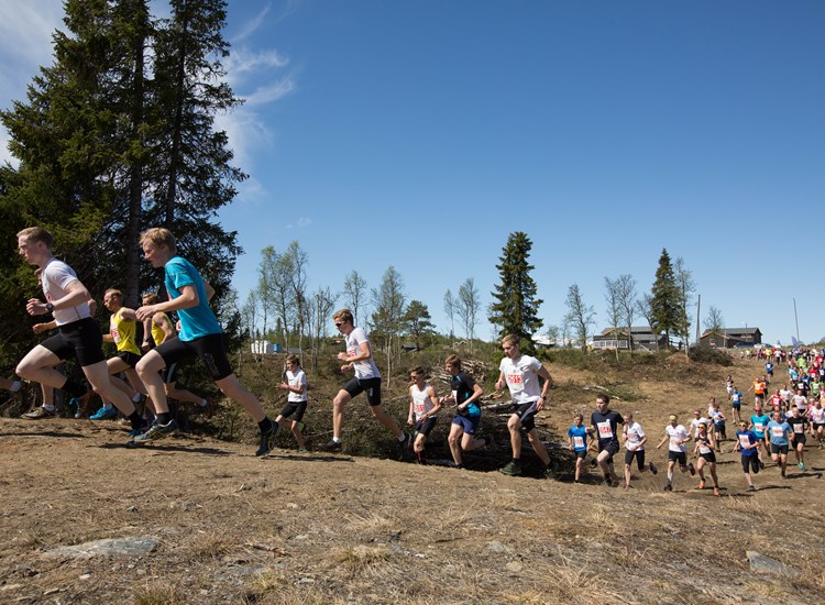 Fjellmaraton 10