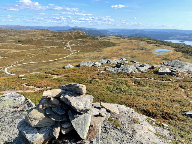 Trillesti på Gardli