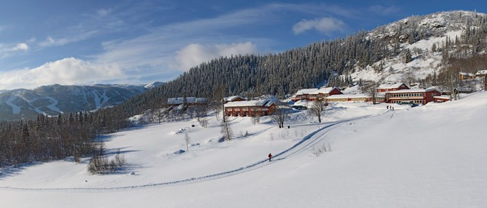 Gronolen2