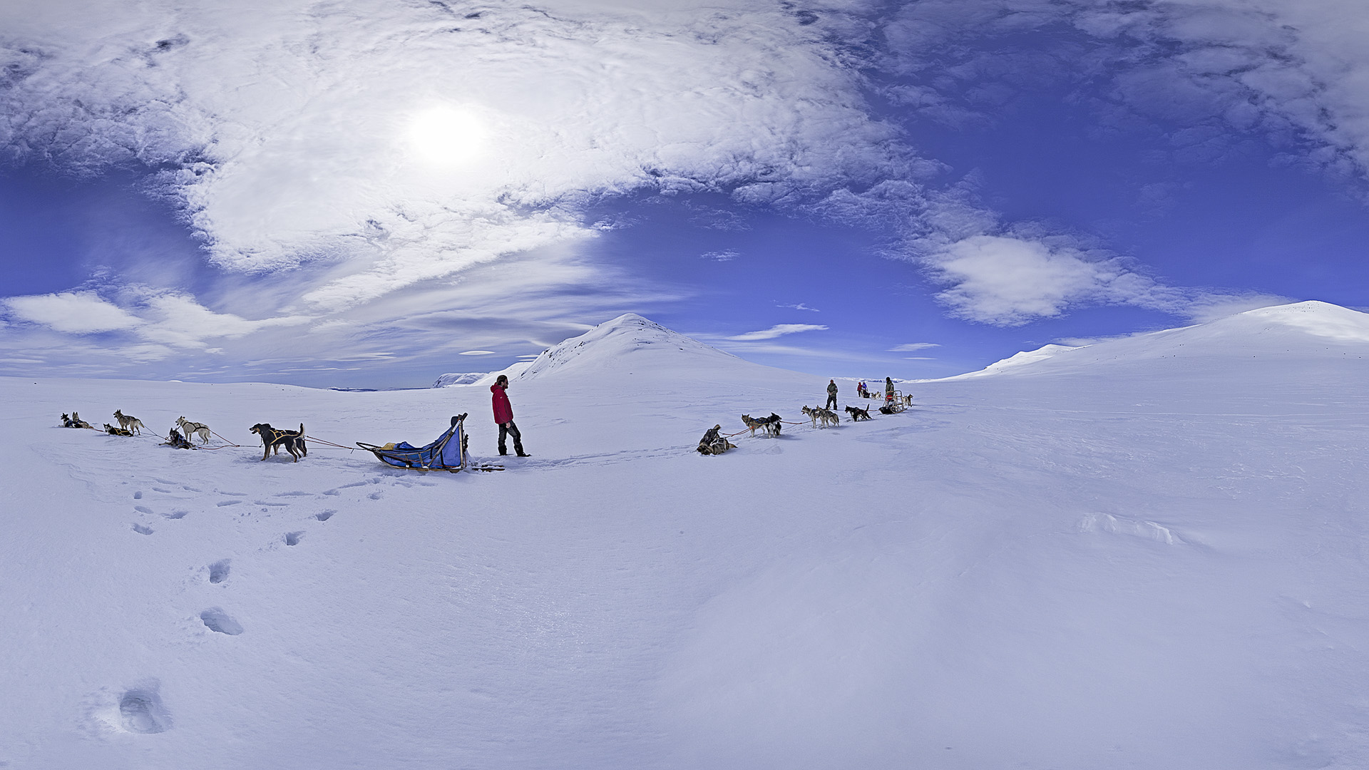Krediteres Tor Solberg 2