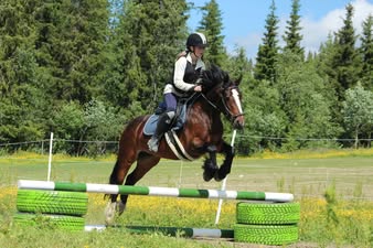 467399318 1098461998950230 5664204989761343890 N