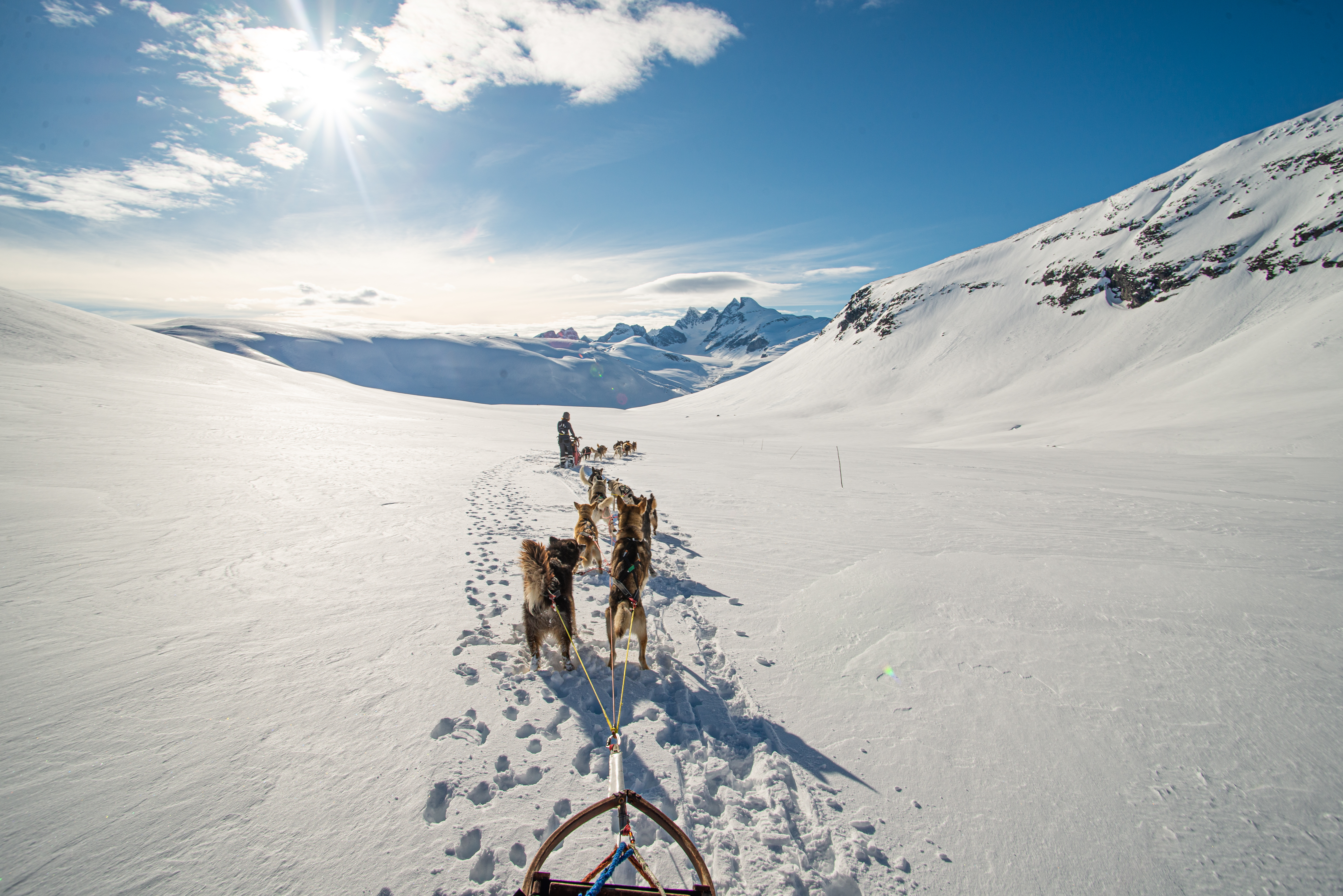 Beito Husky Dogsledding Expedition 2