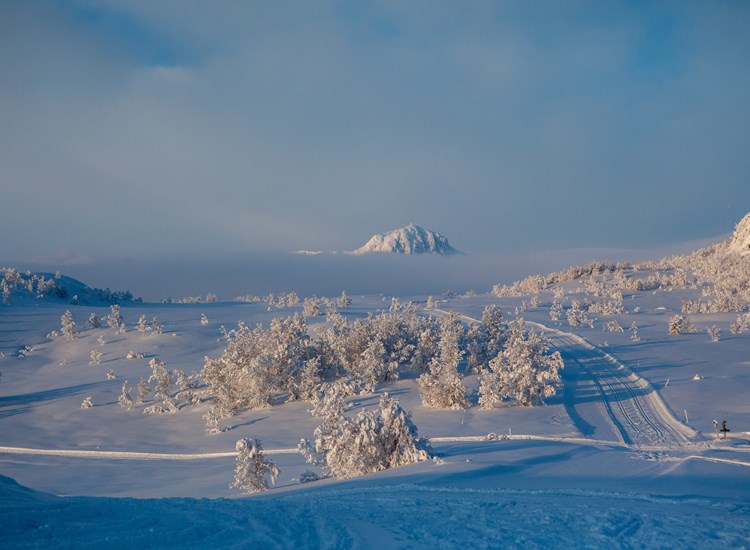 Heistopp Tåke Bitihorn