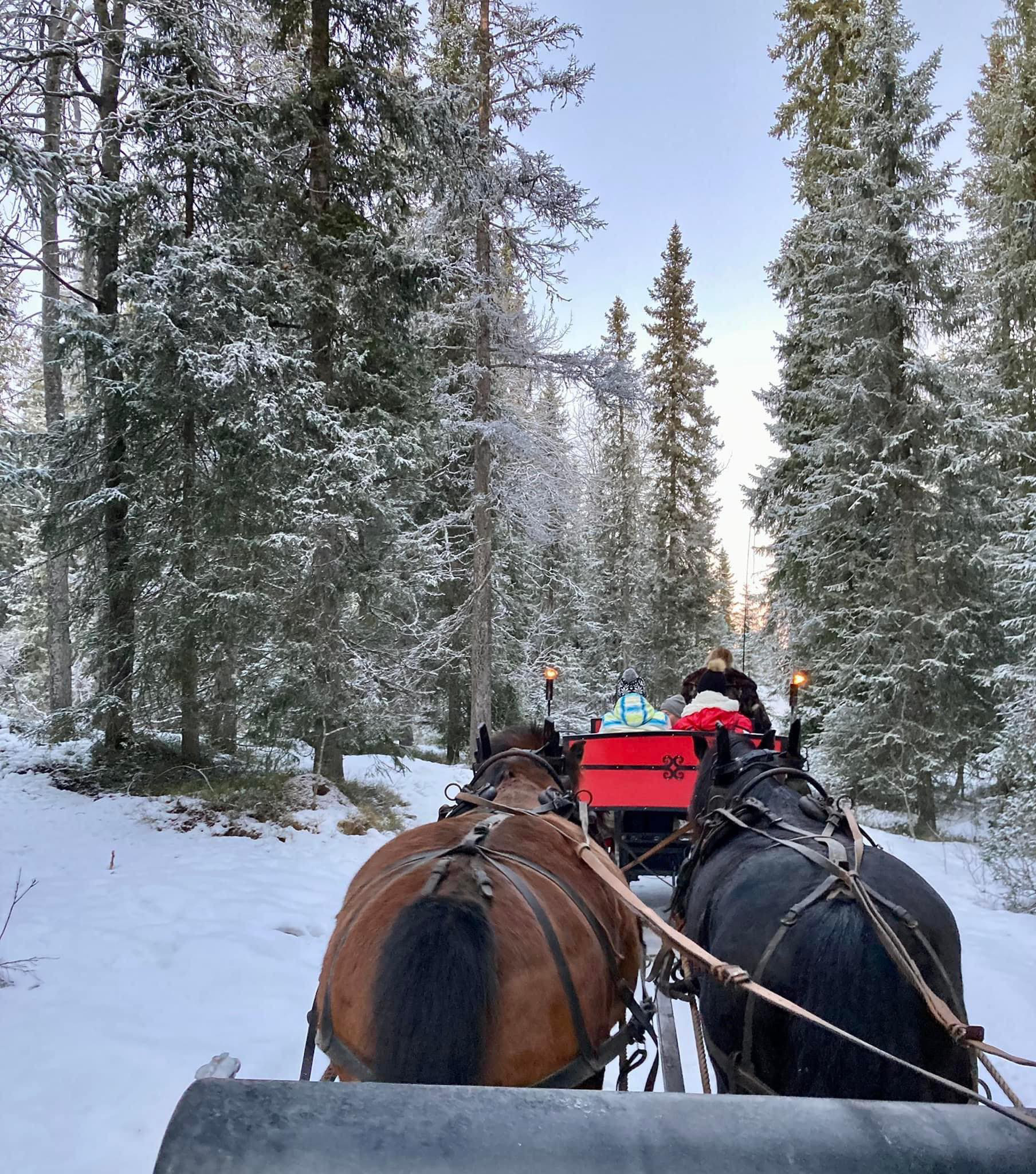 Kanefart Beitostølen