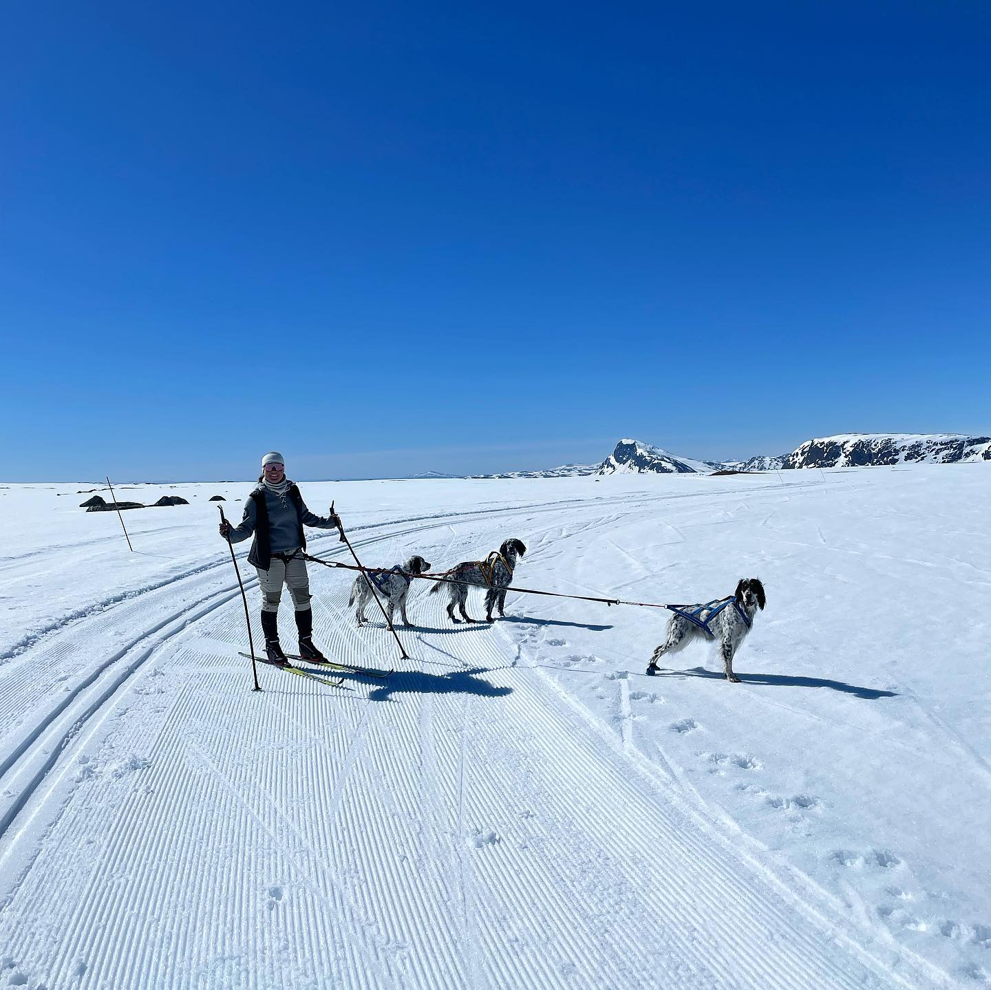 Sport1beitoskismøring