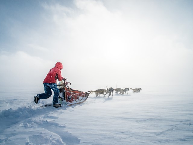 Beito Husky Dogsledding Expedition 23