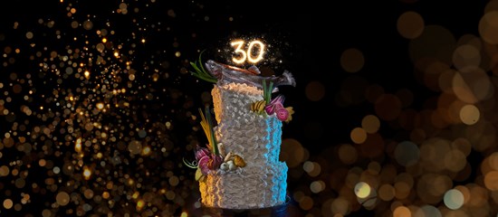 Rakfiskfestivalen 30Aar Glitter