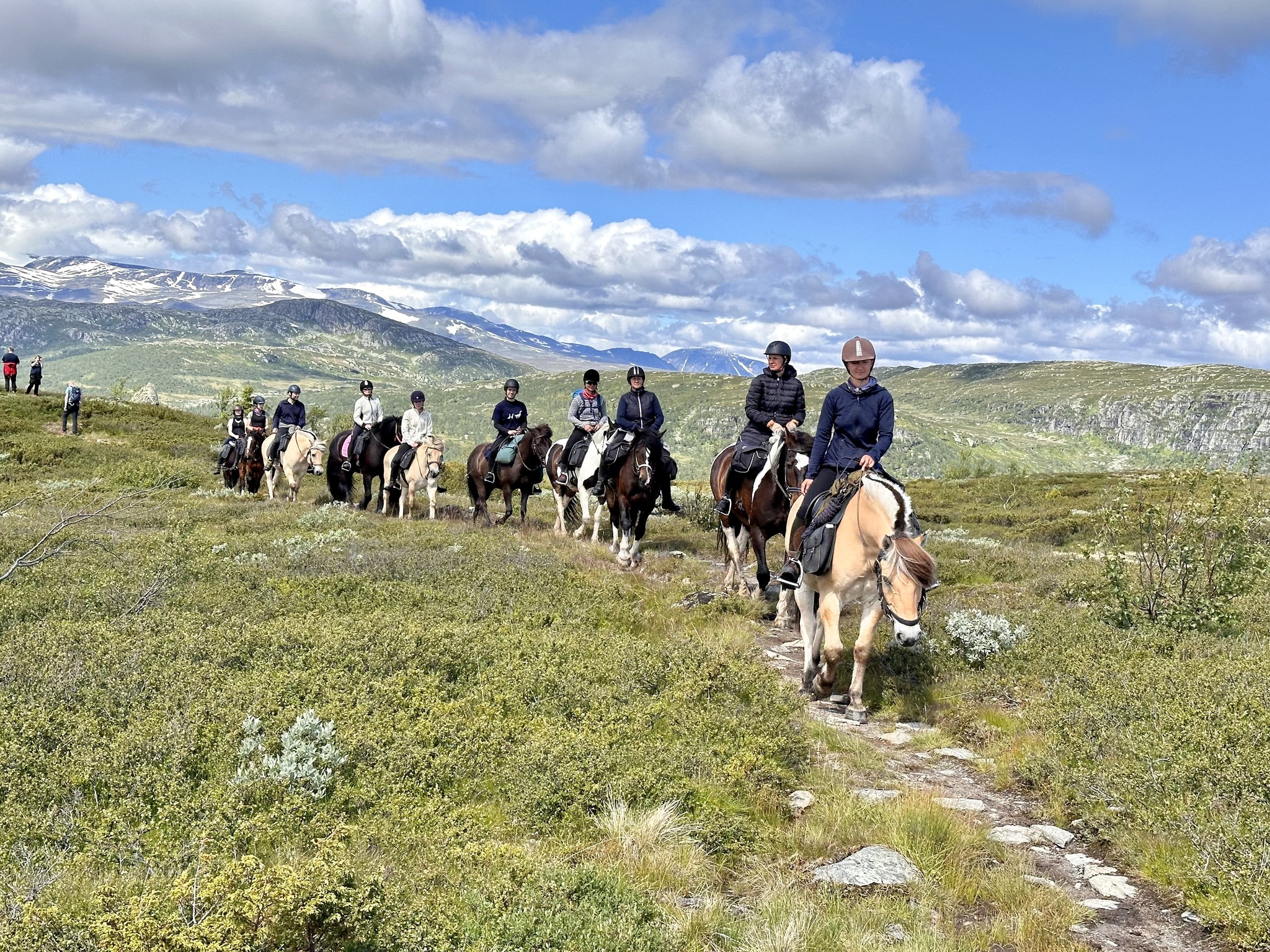 467195104 1098689348927495 5248428591320153868 N