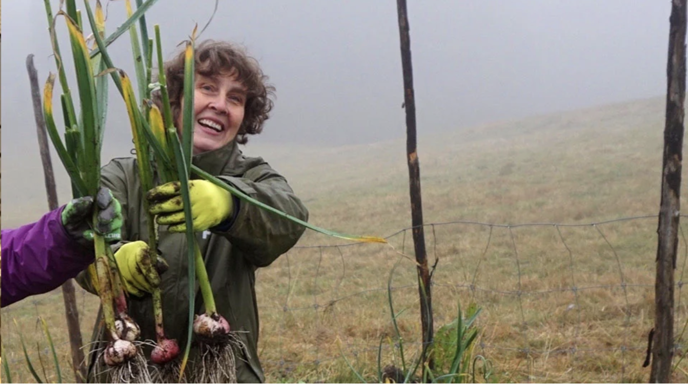 Screenshot 2025 09 23 At 09.37.34