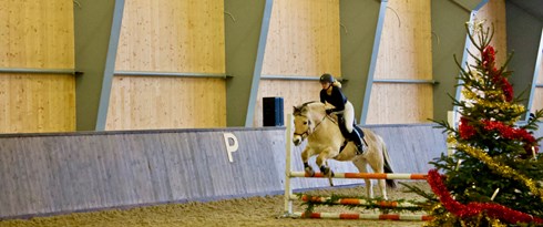 IMG 0995