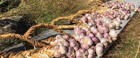 Screenshot 2025 09 25 At 21.30.39